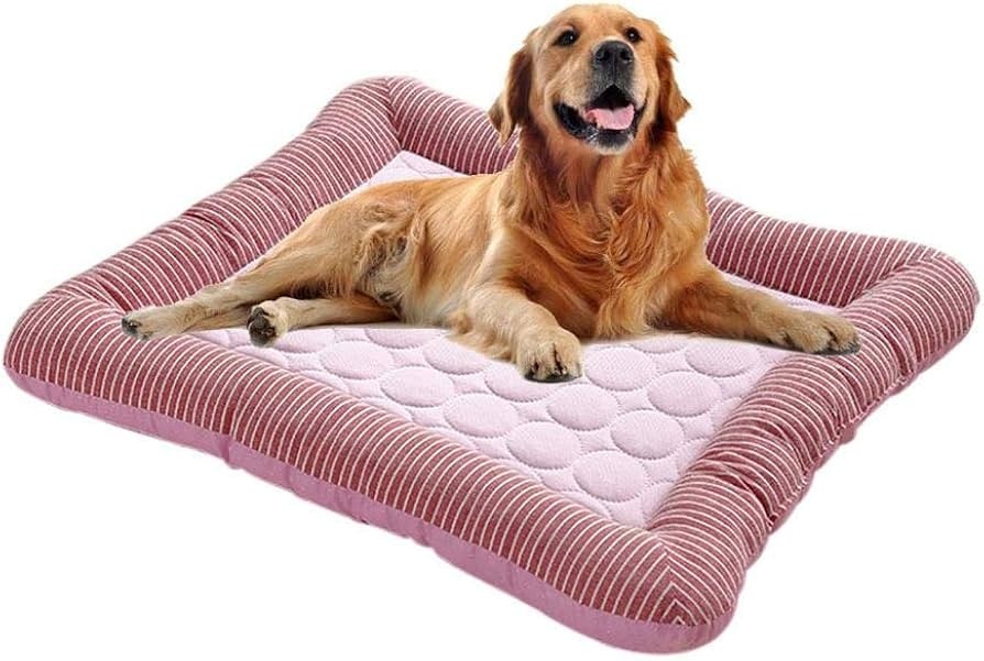 Lettino rinfrescante per animali domestici - Offerta nel negozio Eurospin