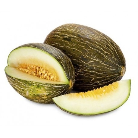 Melone verde Piel de Sapo Coltivato in Italia in offerta da Lidl