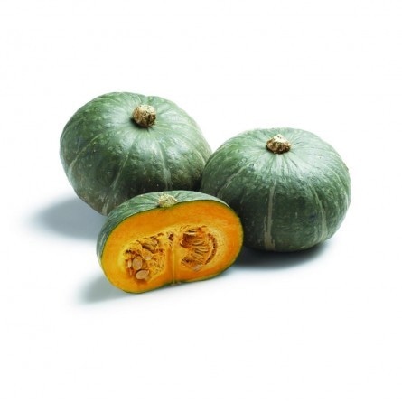 Zucca Delica Verde in offerta da Dpiù