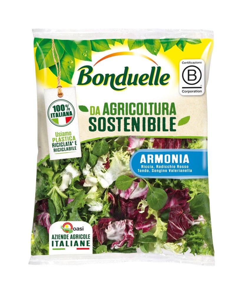 Insalata Armonia Bonduelle 170 g in offerta da Carrefour