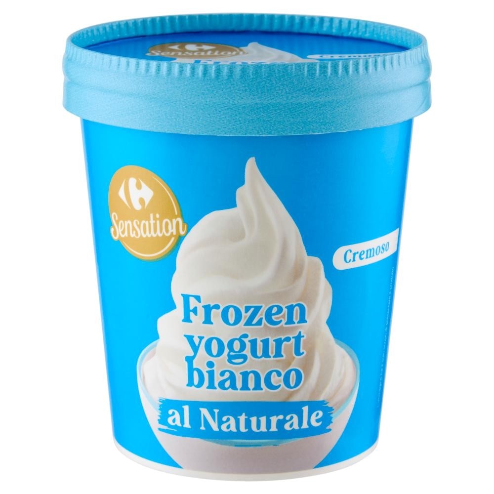 Frozen Yogurt Carrefour 300 g in offerta da Carrefour