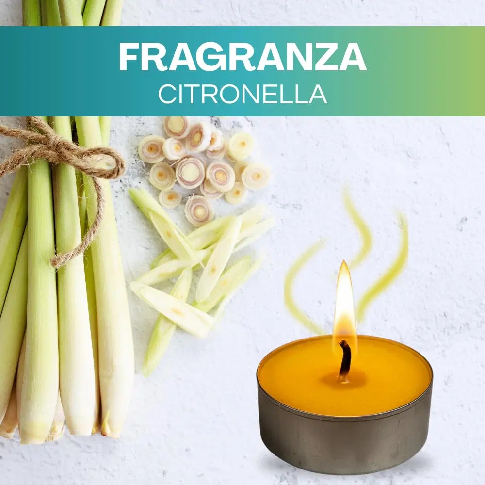 Tealight Citronella 24 PEZZI - Offerta nel negozio Risparmio Casa
