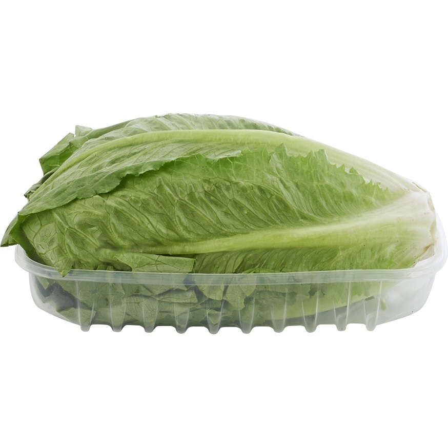 Insalata Romana Coltivato in Italia in offerta da Lidl