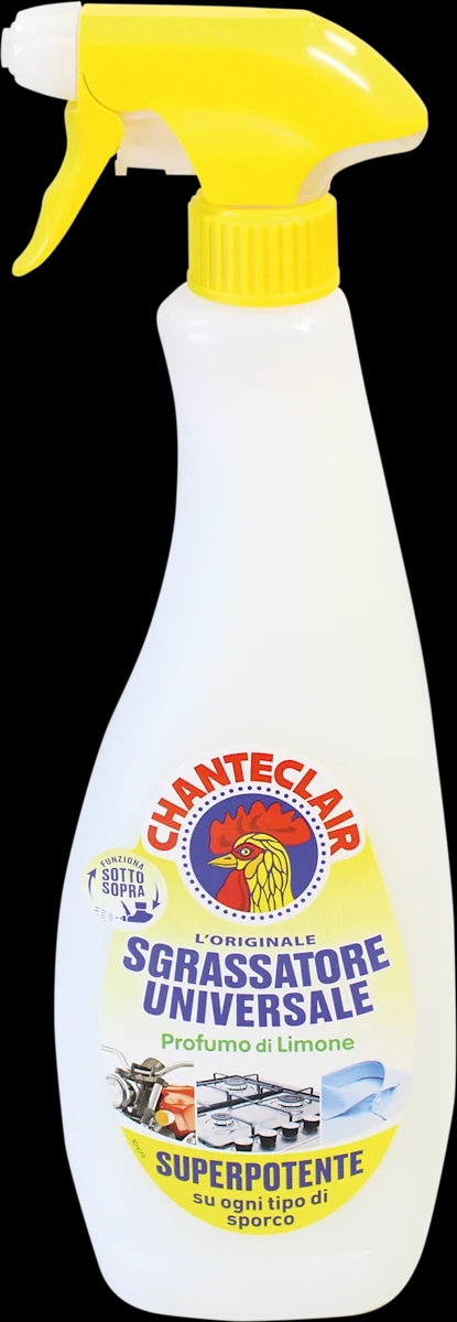 Prodotti Vileda e Chanteclair in offerta da Dm