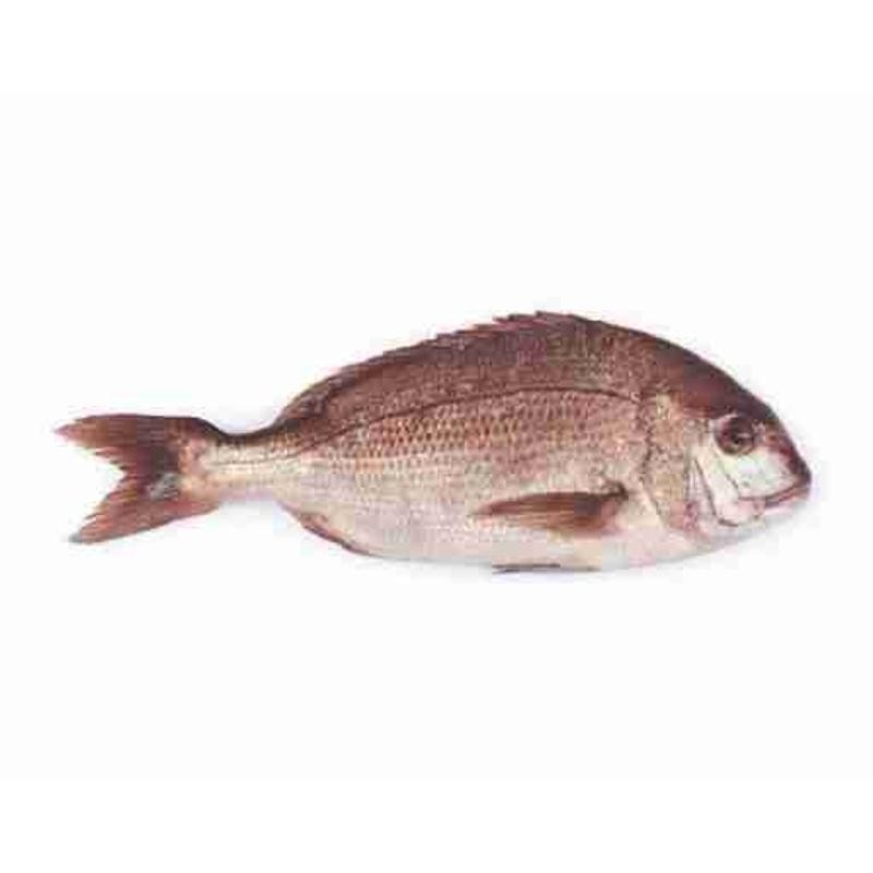 Pagro maggiore in offerta da Il Gigante