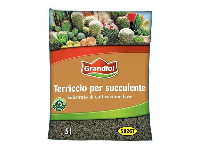 Terriccio per piante grasse 5 L Grandiol - Offerta nel negozio Lidl