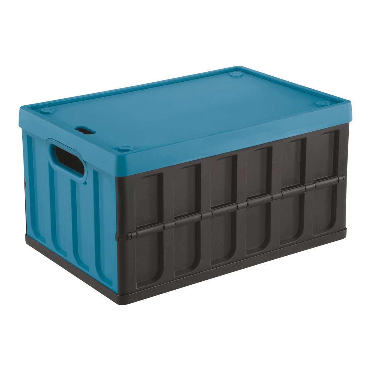 Cassa cargo con coperchio 62 l in offerta da Iper La grande i