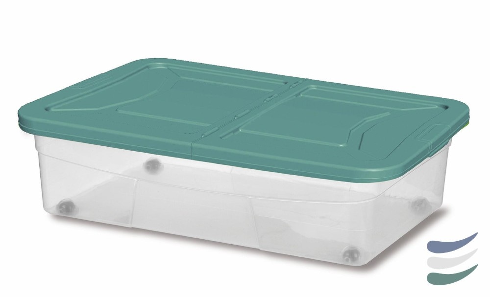Box trasparente con ruote con coperchio 24 litri Gensini - Offerta nel negozio Risparmio Casa