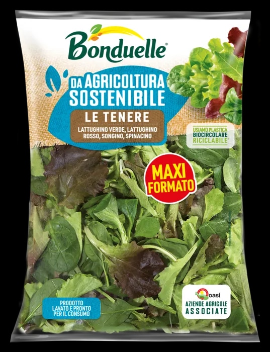 Insalata Bonduelle Armonia o Le Tenere 140 g in offerta da Il Gigante