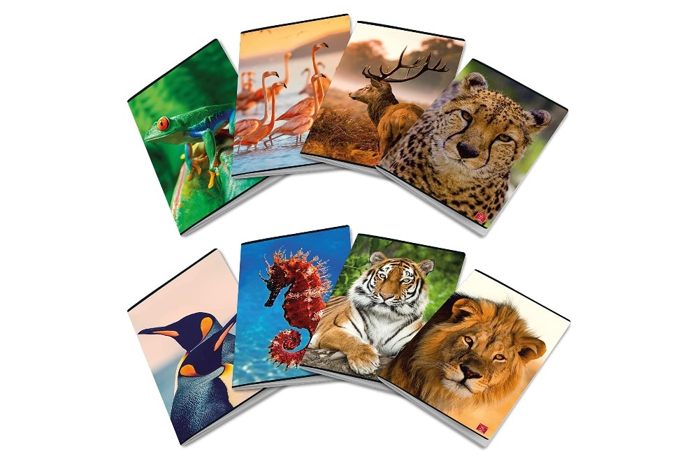 Maxi quaderno Animal rigature assortite Pigna in offerta da Iper La grande i