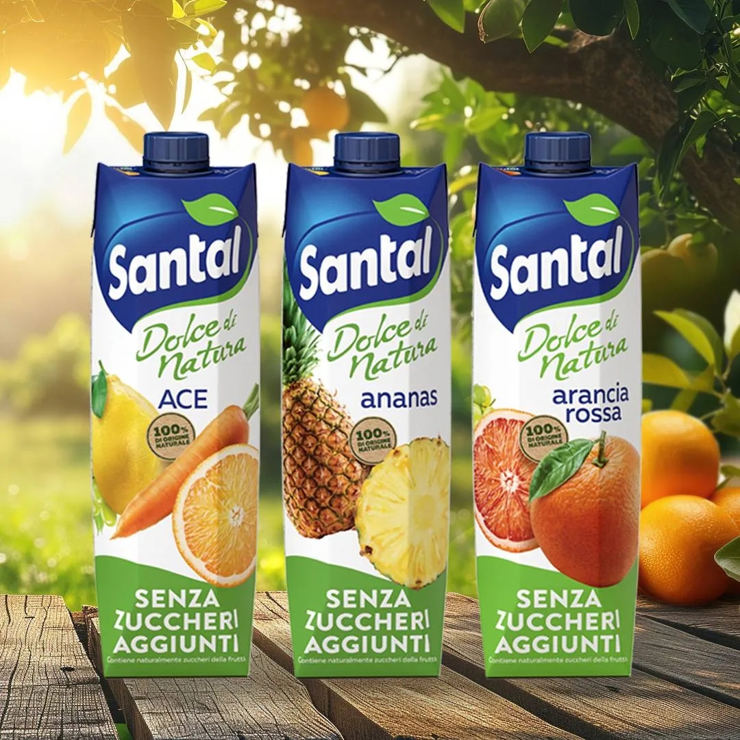 Succhi di frutta senza zuccheri aggiunti Santal 1 l in offerta da Carrefour