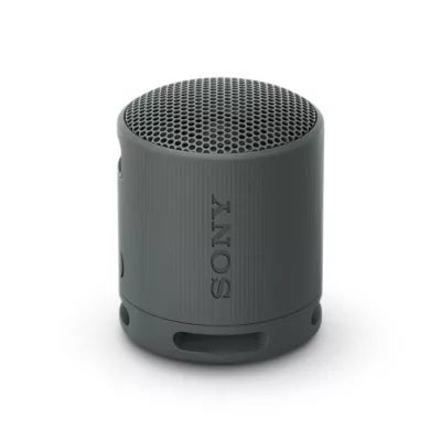 Sony Speaker Wireless con Extra Bass SRS-XB100 - Offerta nel negozio Comet