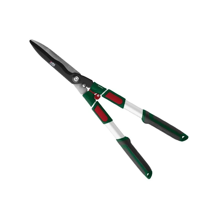 Parkside tagliasiepi telescopico in offerta da Lidl