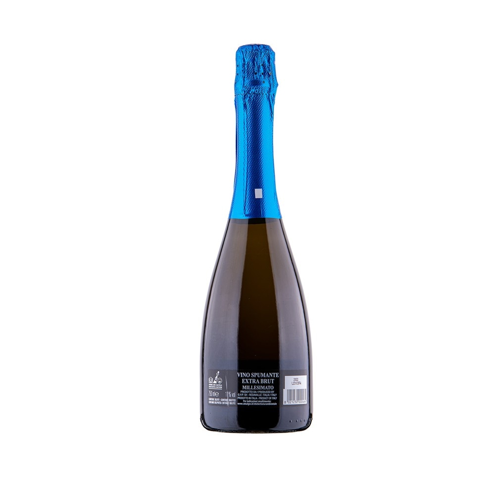 Spumante Extra Brut o Extra Dry Millesimato Babulle 75 cl in offerta da Iper La grande i