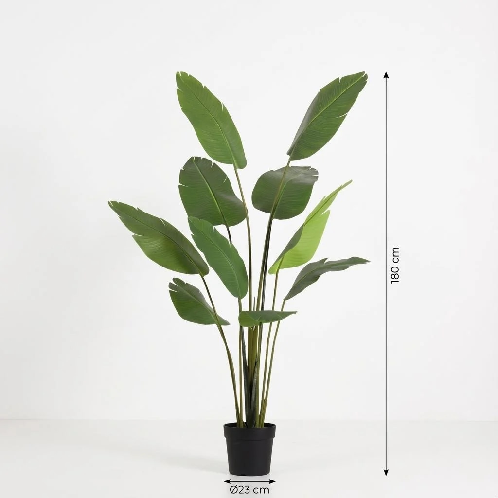 Strelitzia in vaso Ø 23 cm h 180 cm in offerta da Iper La grande i
