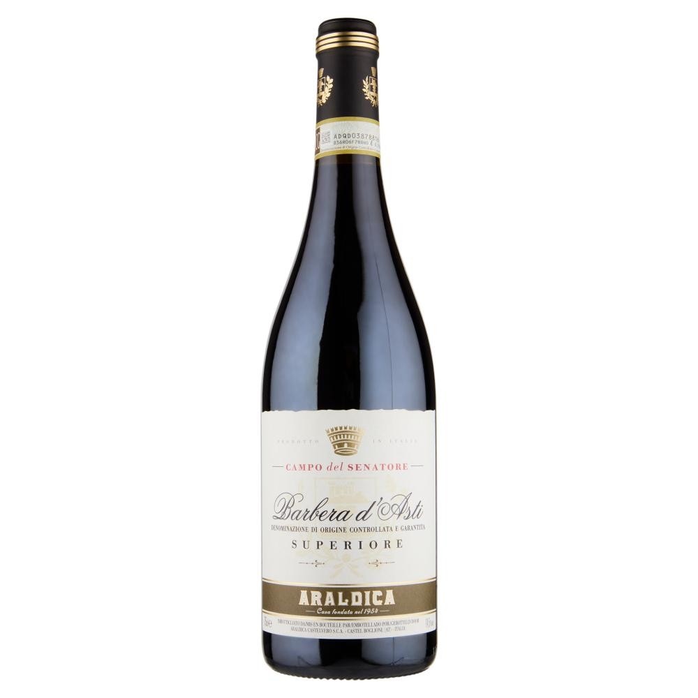 Barbera d'Asti Superiore DOCG Terre d'Italia 750 ml in offerta da Carrefour
