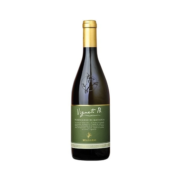 Verdicchio di Matelica Belisario 75 cl in offerta da Esselunga