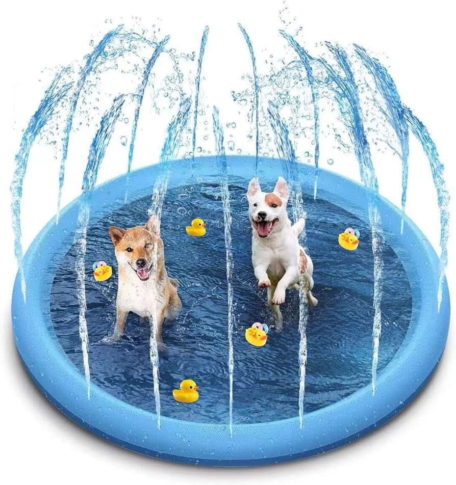 Giochi acquatici per cani Romeo - Offerta nel negozio ALDI