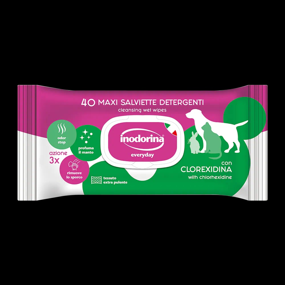 Inodorina salviette igienizzanti x40 in offerta da Iper La grande i