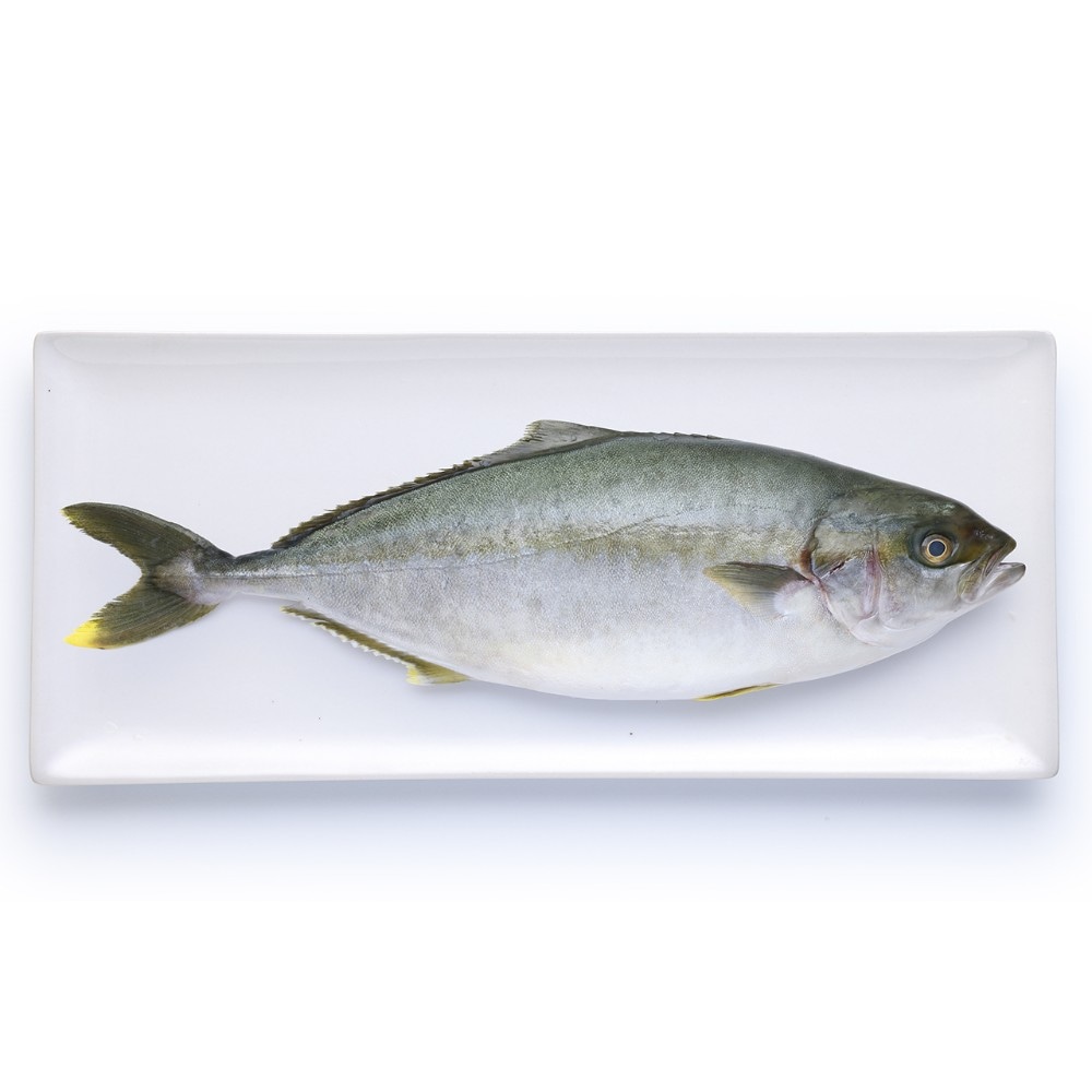 Ricciola in offerta da Il Gigante