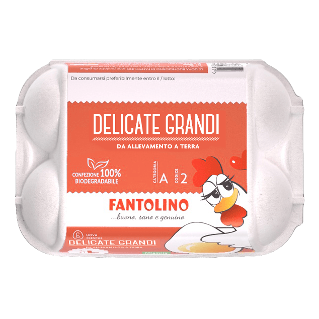 10 uova fresche da allevamento a terra Fantolino 10 uova in offerta da Il Gigante