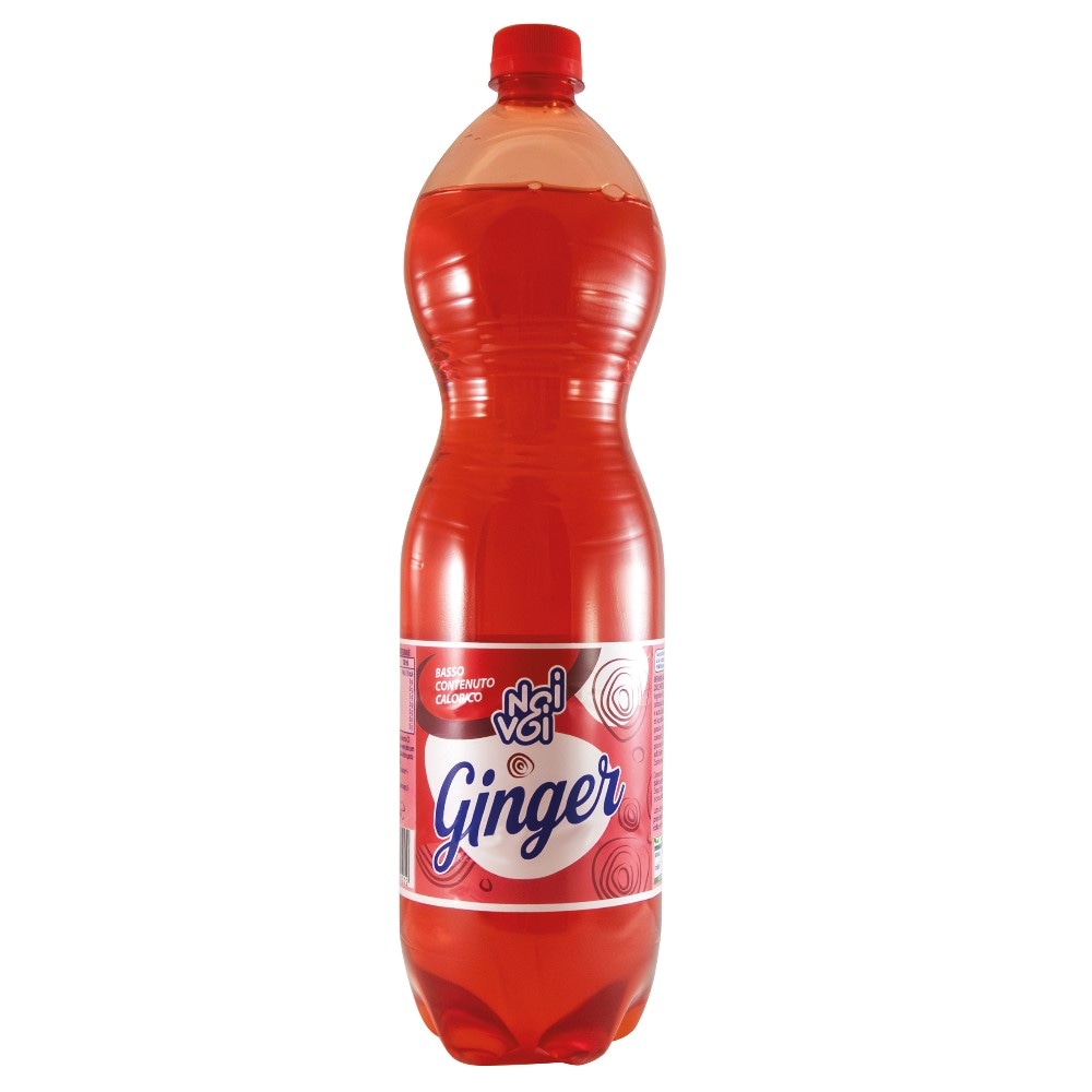 Vividrink Ginger 1.5 l in offerta da Dpiù