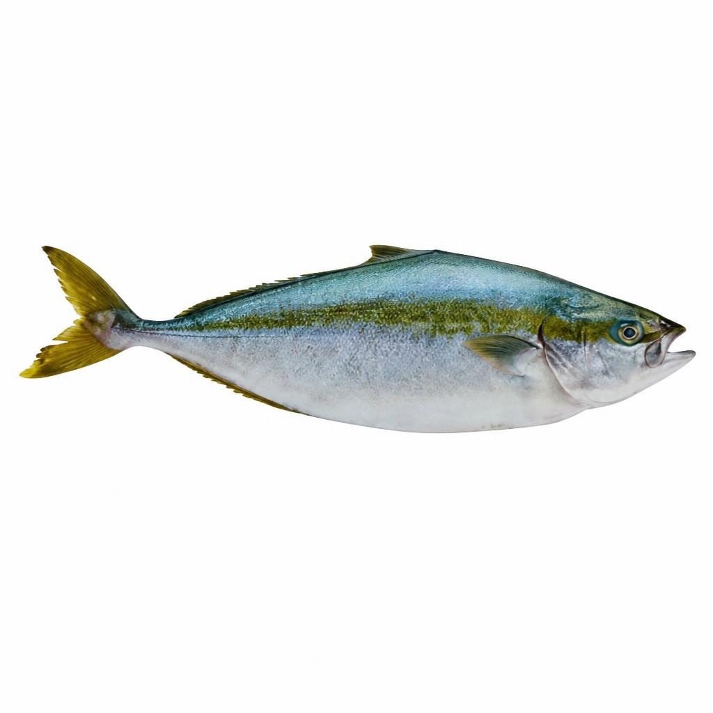 Ricciola 500/1000 g in offerta da Carrefour