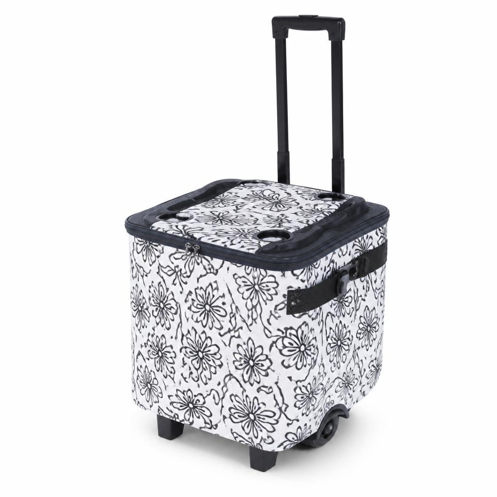 Frigorifero portatile Live In Style - Offerta nel negozio ALDI