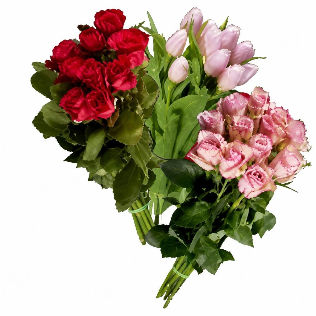 Fiori e composizioni floreali - Offerta nel negozio Lidl