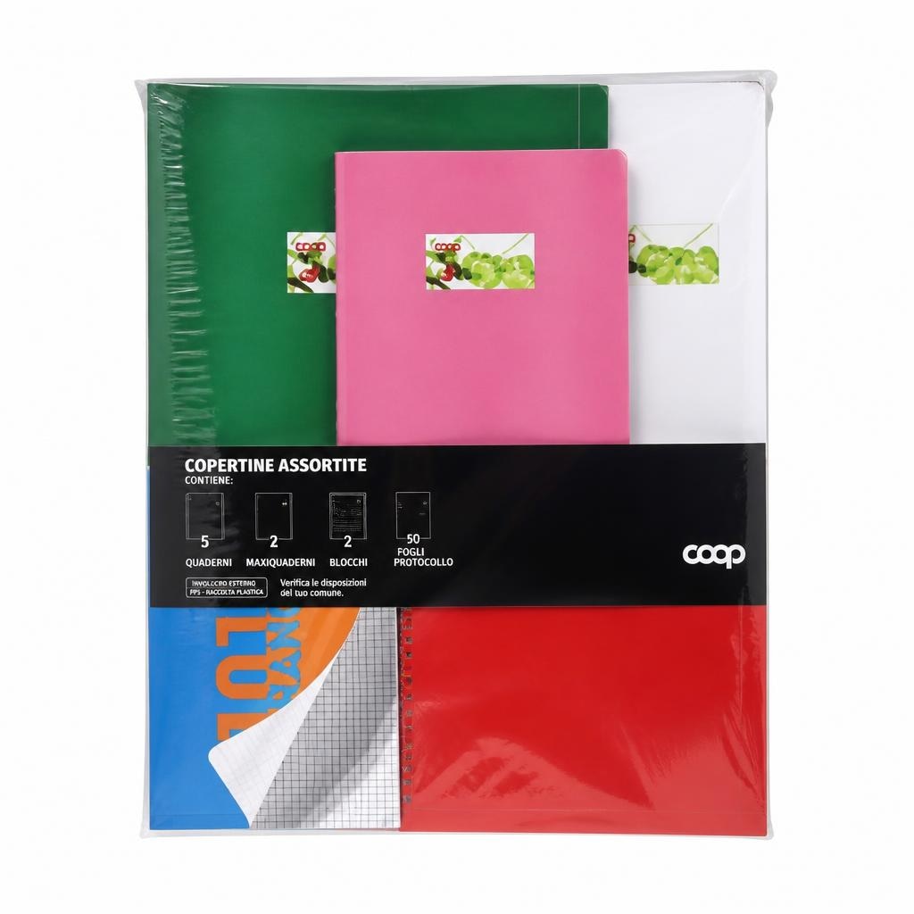 Assortimento quaderni, maxiquaderni, blocchi disegno e fogli protocollo Coop 80 g in offerta da Coop