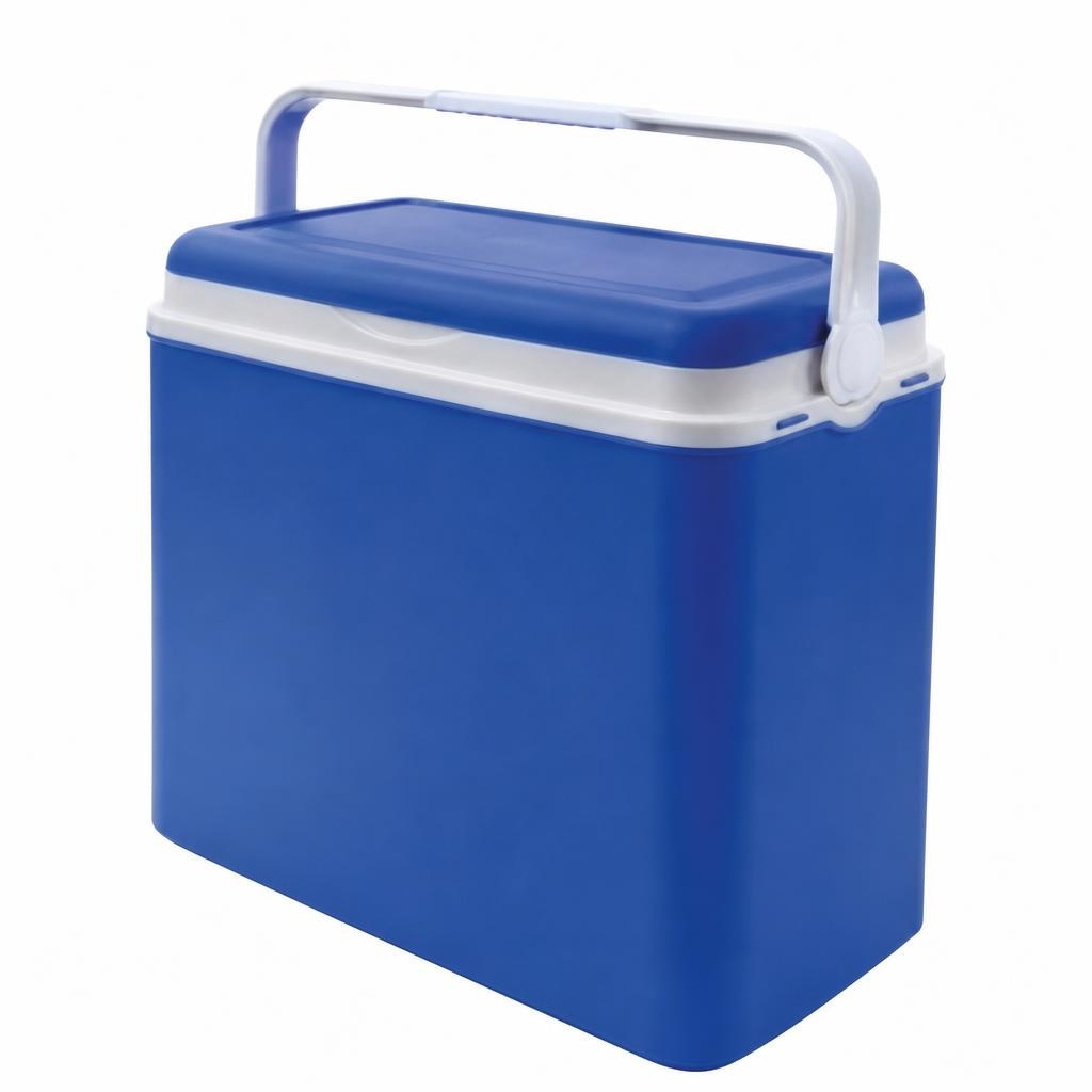 Box Frigo L 24 - Offerta nel negozio Bennet
