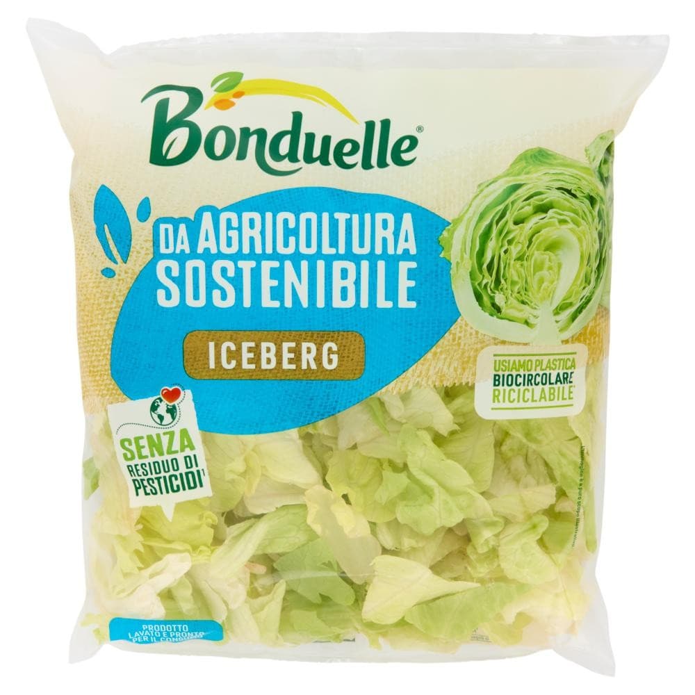 Insalata Iceberg Bonduelle 200 g in offerta da Carrefour