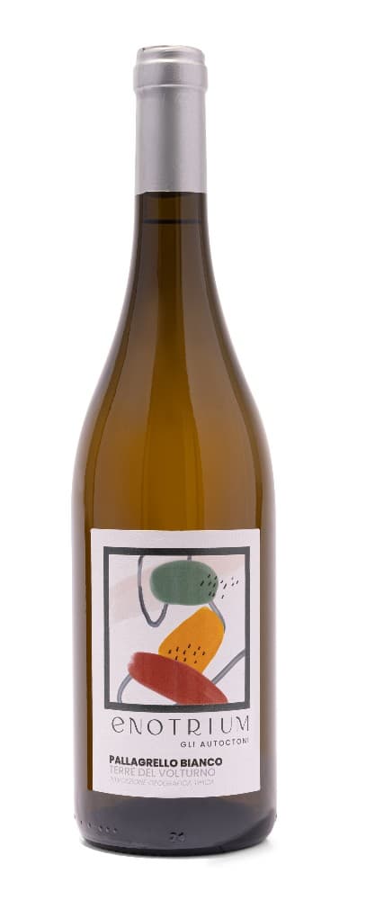 Pallagrello bianco Terre del Volturno IGT Enotrium, 75 cl – MD