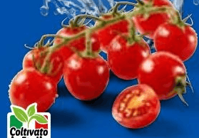 Pomodori ciliegino 250 g confezione in offerta da Lidl