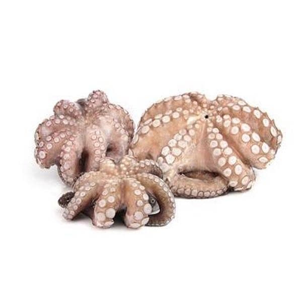 Polpo arricciato in offerta da Bennet