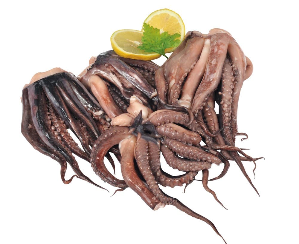 Tentacolo di totano gigante del Pacifico decongelato al kg in offerta da Bennet