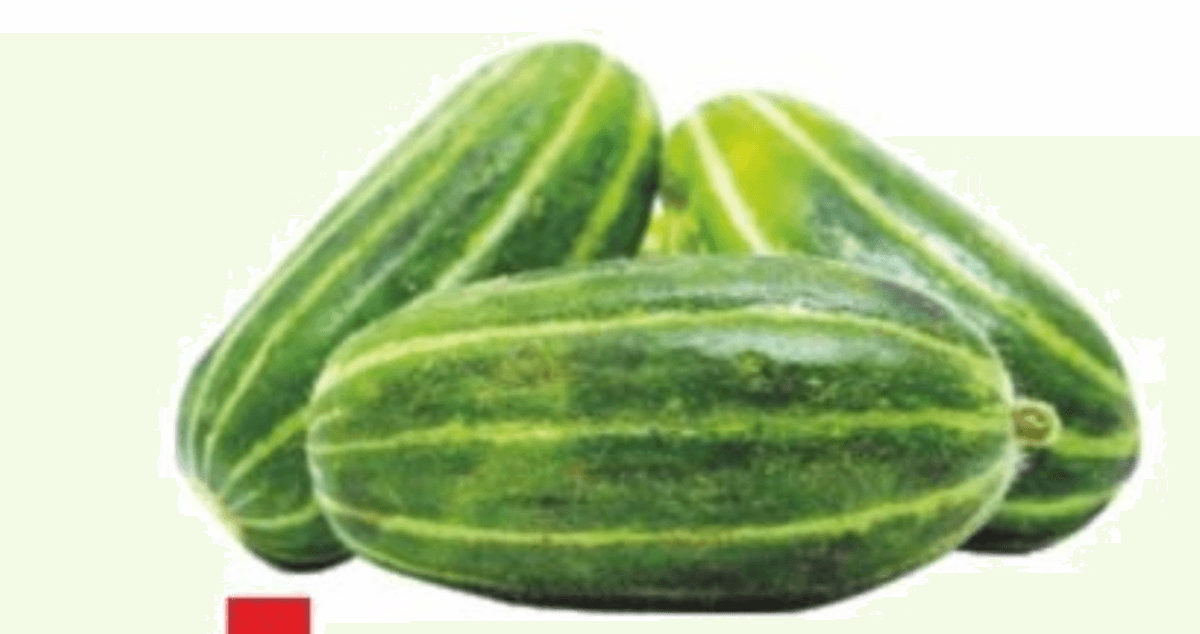 Carosello Scuro - Offerta nel negozio MD