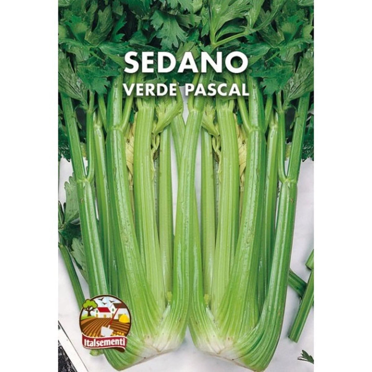 Sedano verde Al pezzo in offerta da Lidl