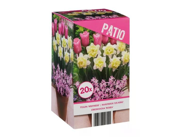 Mix di bulbi PATIO in offerta da Lidl