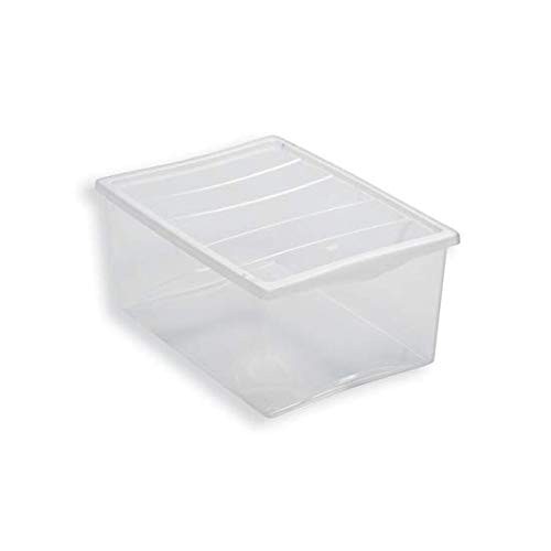 Spring Box Contenitore con coperchio Belli e Forti - Offerta nel negozio Happy Casa