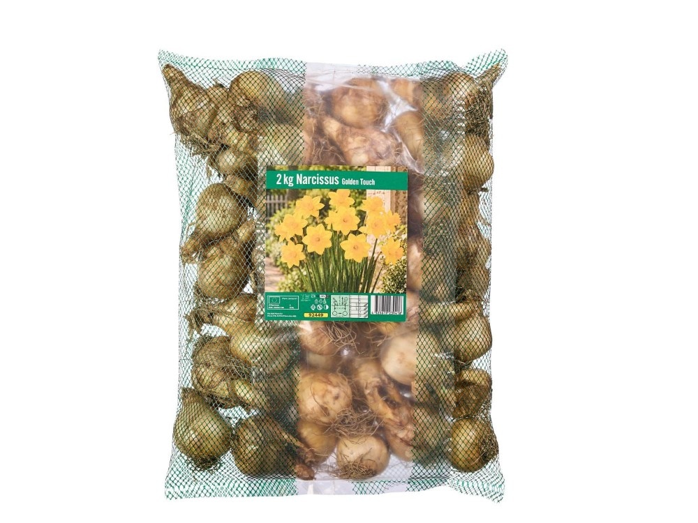 Bulbi di narcisi 2 kg in offerta da Lidl