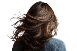 Categoria - Cura dei capelli