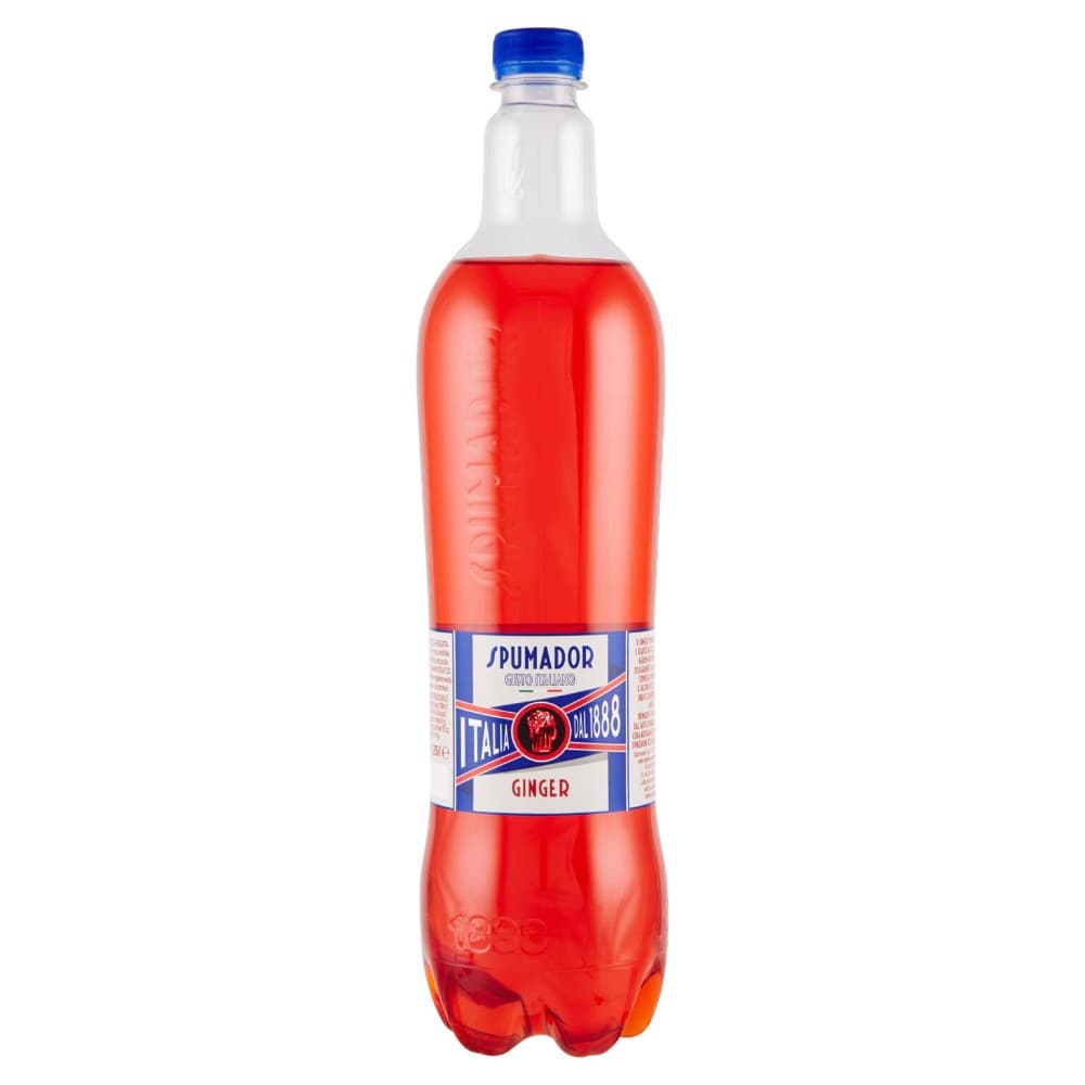 Ginger Spumador 1,15 l in offerta da Carrefour