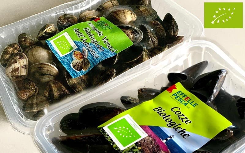 Cozze bio, 1 kg EFFELLE PESCA – Iper La grande i