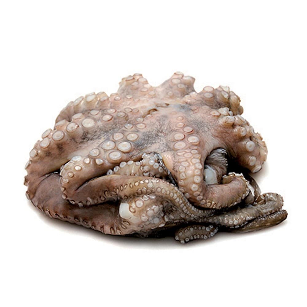 Polpo arricciato, al kg – Bennet