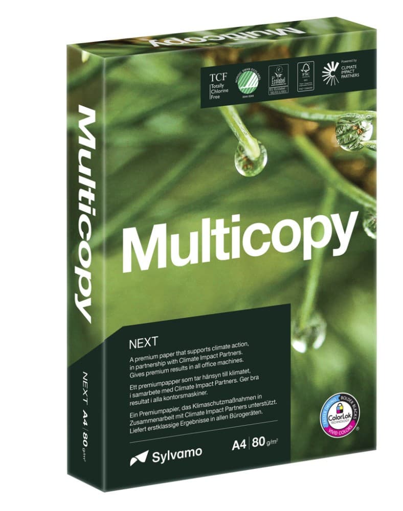 Sylvamo carta per fotocopie A4, 80 g – Carrefour