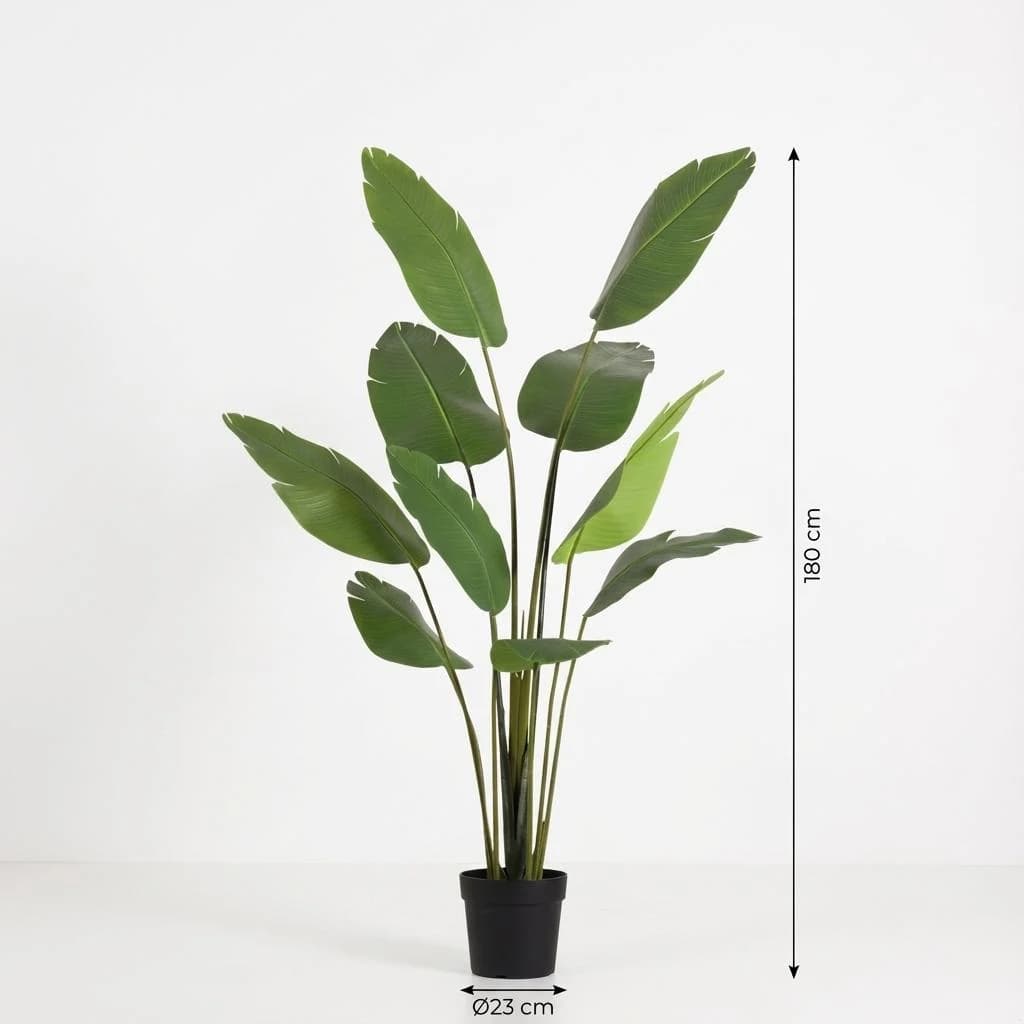 Strelitzia in vaso Ø 23 cm h 180 cm in offerta da Iper La grande i
