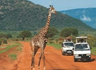 Mare e Safari Watamu - Parco Nazionale dello Tsavo Est- Kenya – MD