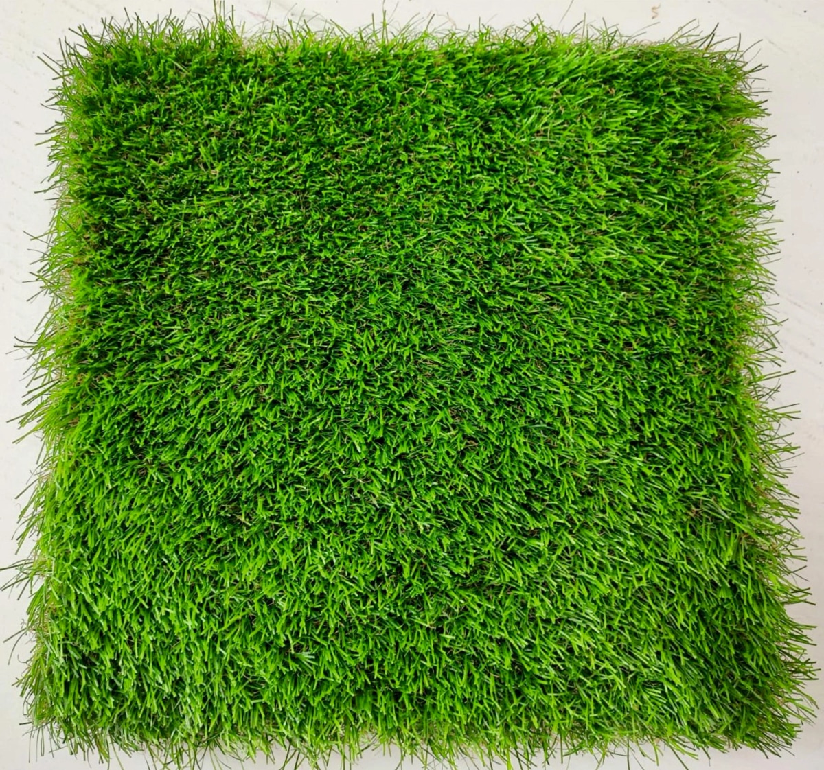 Erba sintetica Viola rotolo da 10 m² Rotolo da 10 m² in offerta da Leroy Merlin