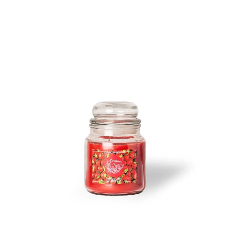 Candela in giara, 510 g – Iper La grande i
